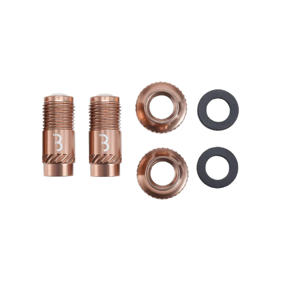Embouts de Valves BBB CORE CAP Bronze (x2) - Image 2