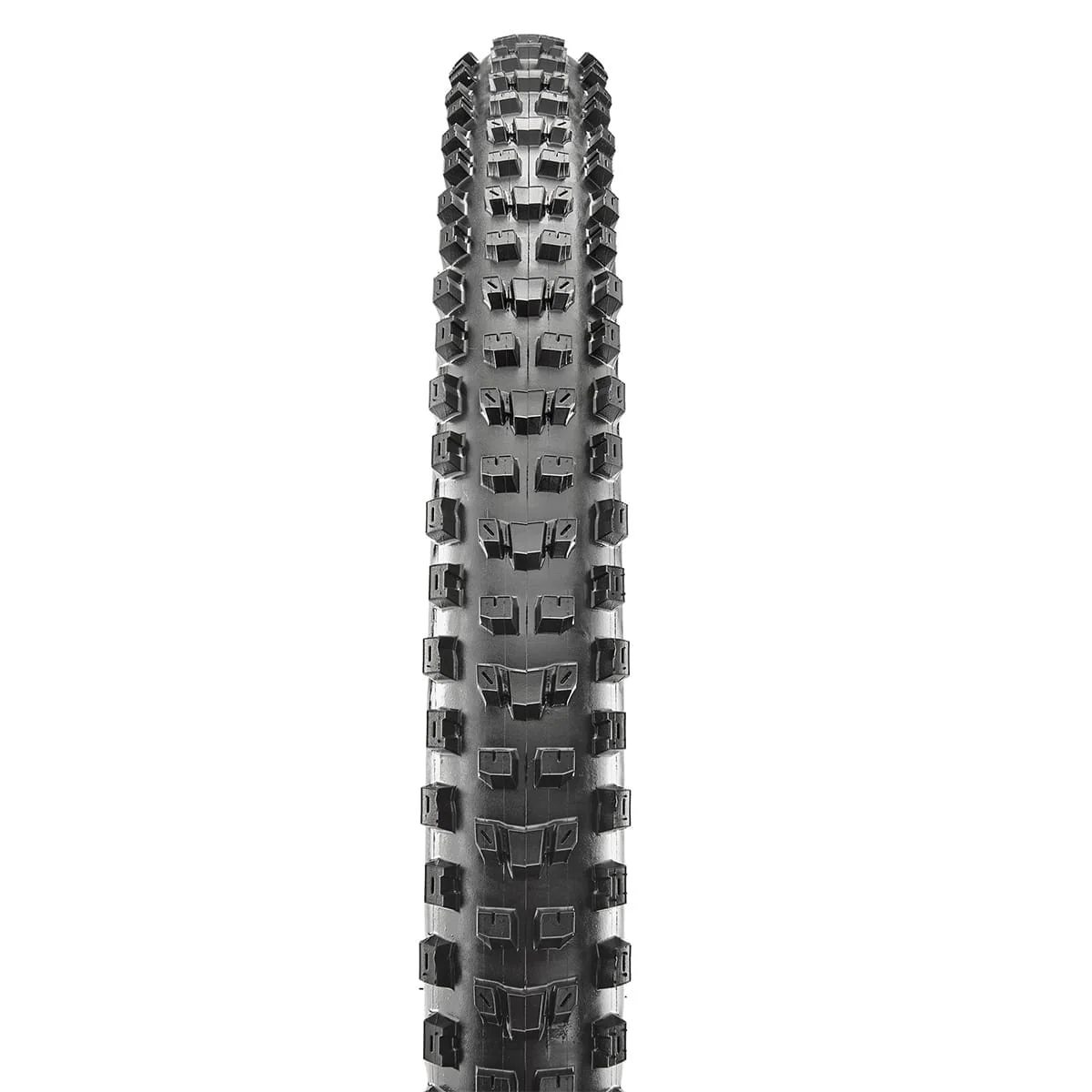 Pneu MAXXIS DISSECTOR 27.5x2.40 WT Exo Tubeless Ready Souple Noir - Image 2